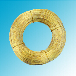 世界怎么了？黃銅圓線得多讀書多看報(bào)了